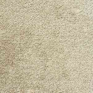 Ковролин Зартекс Sense Highlights (Soft carpet) Sense Highlights 053 мокрый песок фото ##numphoto## | FLOORDEALER